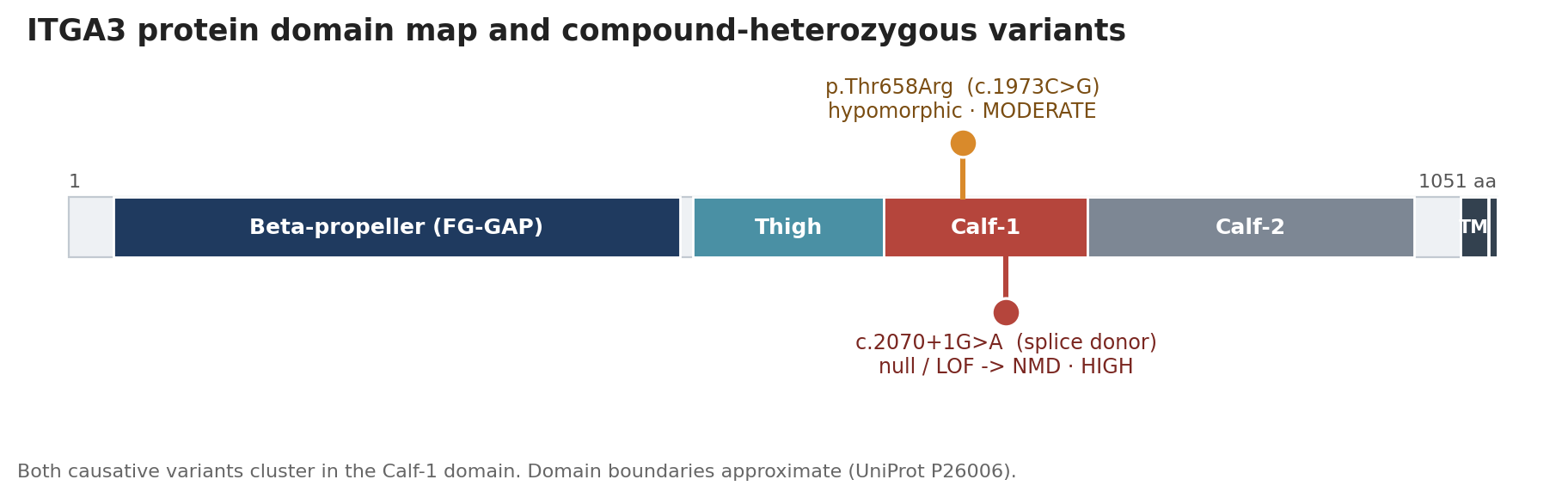 ITGA3 protein (NM\\002204.4; UniProt P26006) with the two causative Calf-1 variants: the hypomorphic missense p.Thr658Arg and the null splice-donor c.2070+1G\\>A. Domain boundaries are approximate.
