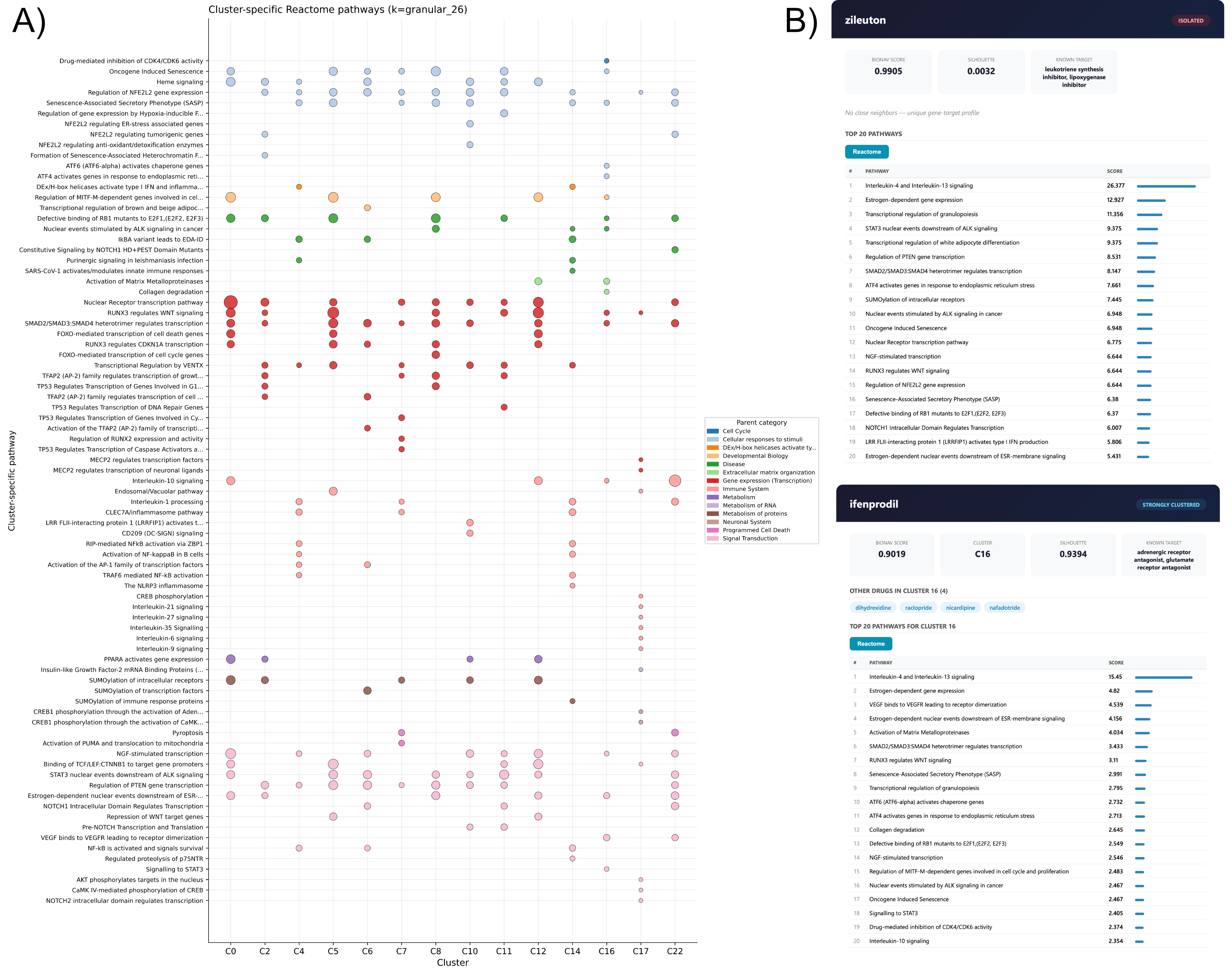 Pathway cluster analysis of the hair follicle BioNAV results. (Left) Bubble plot showing highly ranked drugs grouped into clusters based on patient-specific subnetwork of each drug. Columns represent