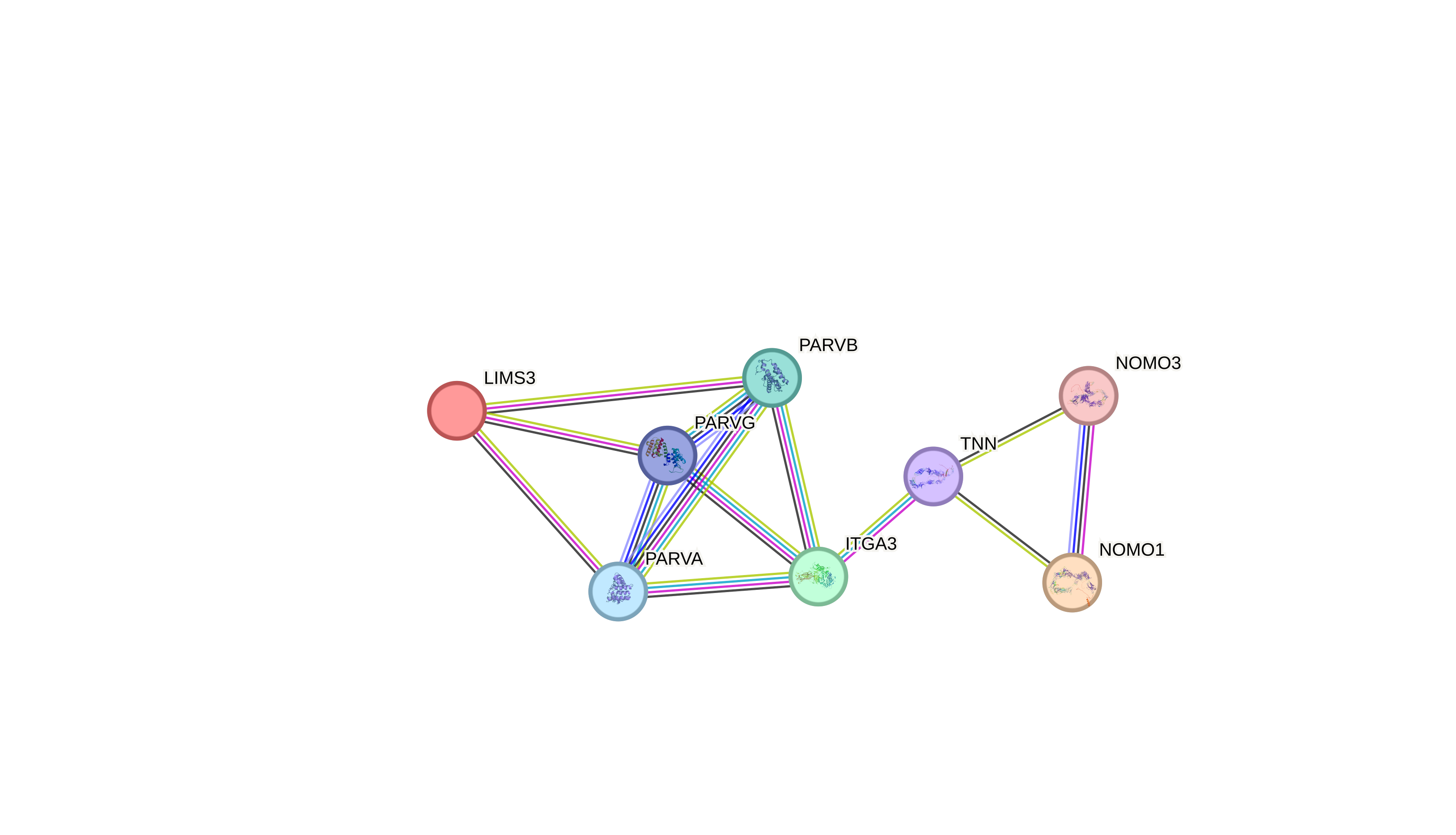 STRING PPI network linking ITGA3 to the candidate modifiers LIMS3 and NOMO1. The candidate modifiers were submitted to STRING (v12.0; minimum required interaction score ≥0.4), which added the five hig