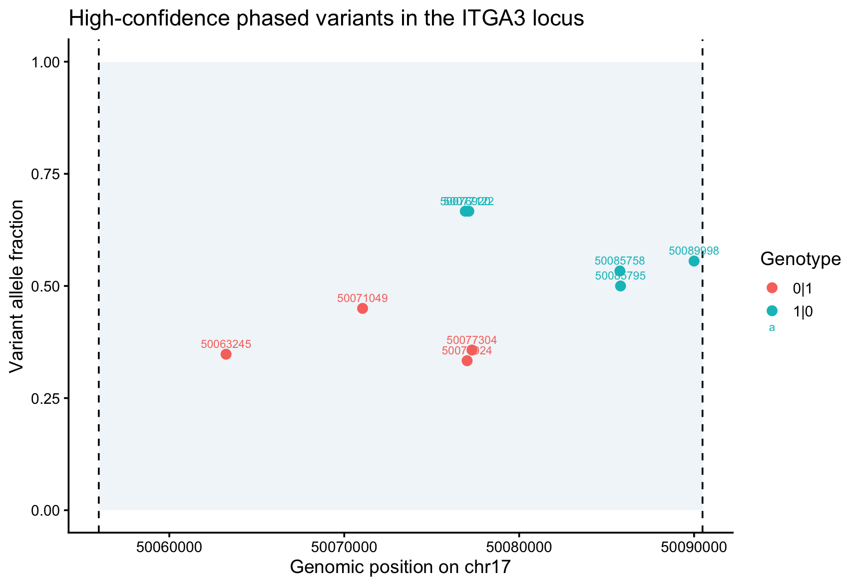 High-confidence phased single-nucleotide variants across the ITGA3 locus. Each point is a PASS variant plotted by genomic position (chr17) and variant allele fraction, colored by phased genotype (0\\|1