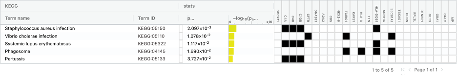 Functional enrichment analyses depicting the top list of (A) HPO terms, and (B) KEGG pathways associate with the genes harboring variants observed in the patients WGS data.