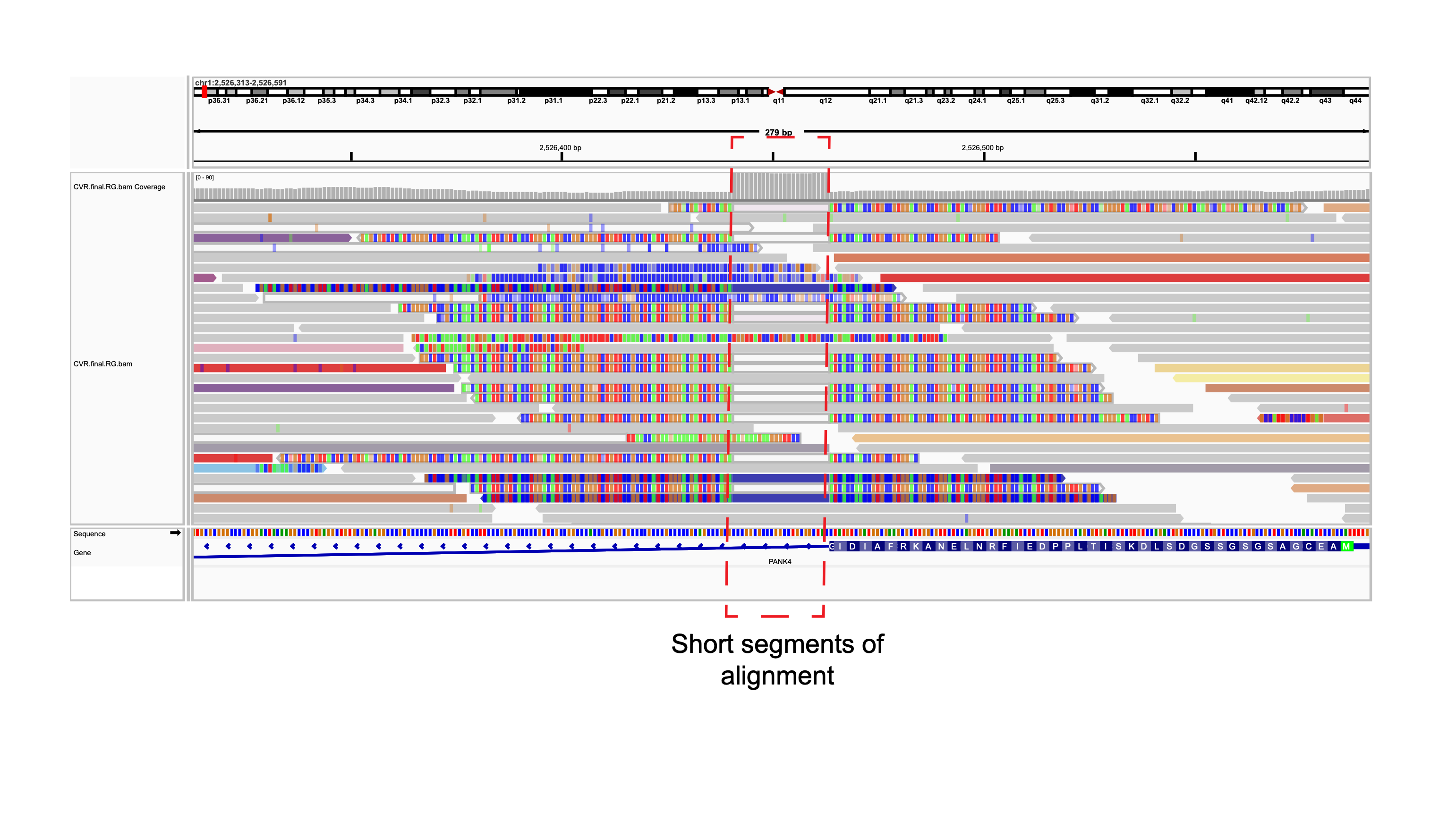 Misalignment of microorganism-derived sequencing reads leads to false insertion structural variations calls.