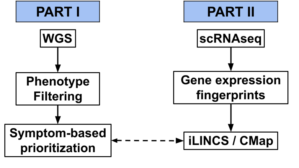 Two-part multi-omic analysis workflow. Part I: PacBio long-read WGS with HPO-guided phenotype filtering and SEQ™-based variant prioritization. Part II: scRNA-seq PBMC profiling with SigCom-LINCS conne