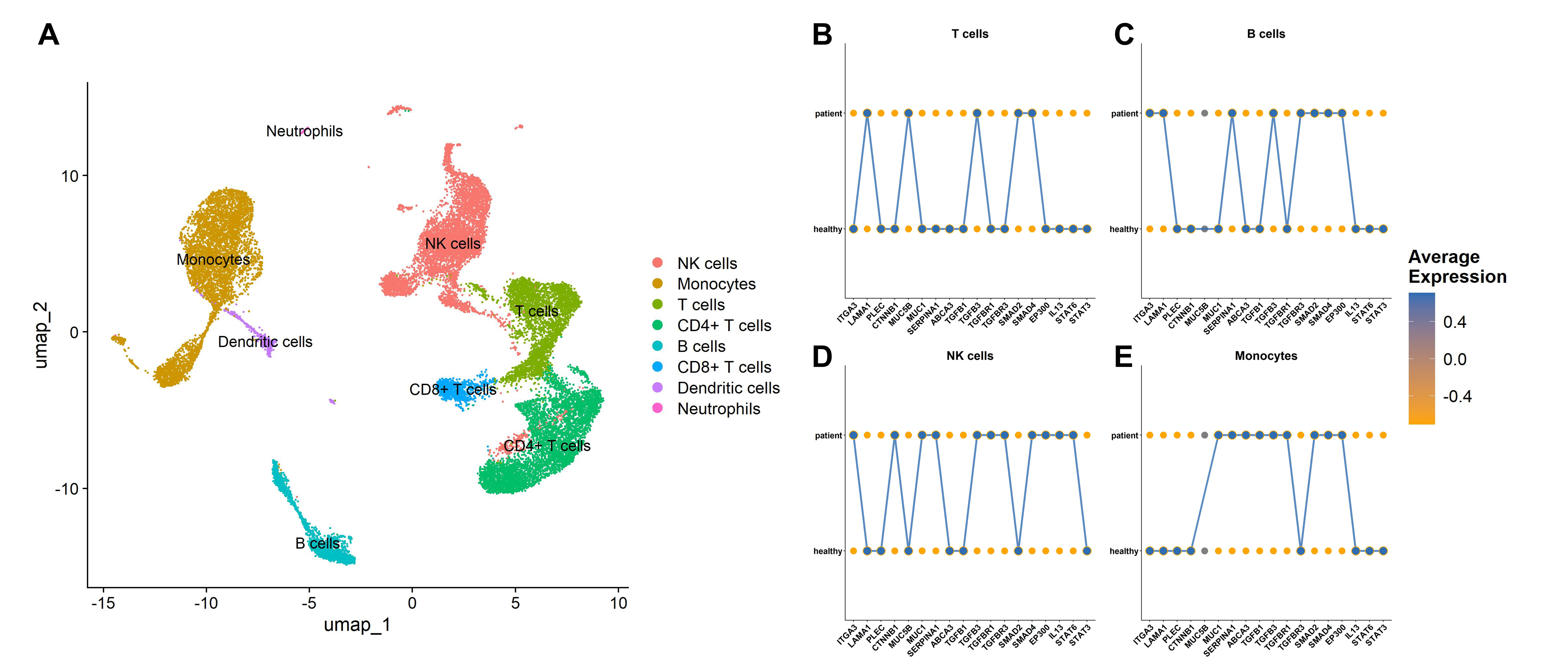 (A) UMAP visualization of single-cell RNA-seq data from patient PBMCs, presenting eight major immune cell populations used as the basis for per-cluster transcriptomic fingerprinting. (B-E) Gene expres