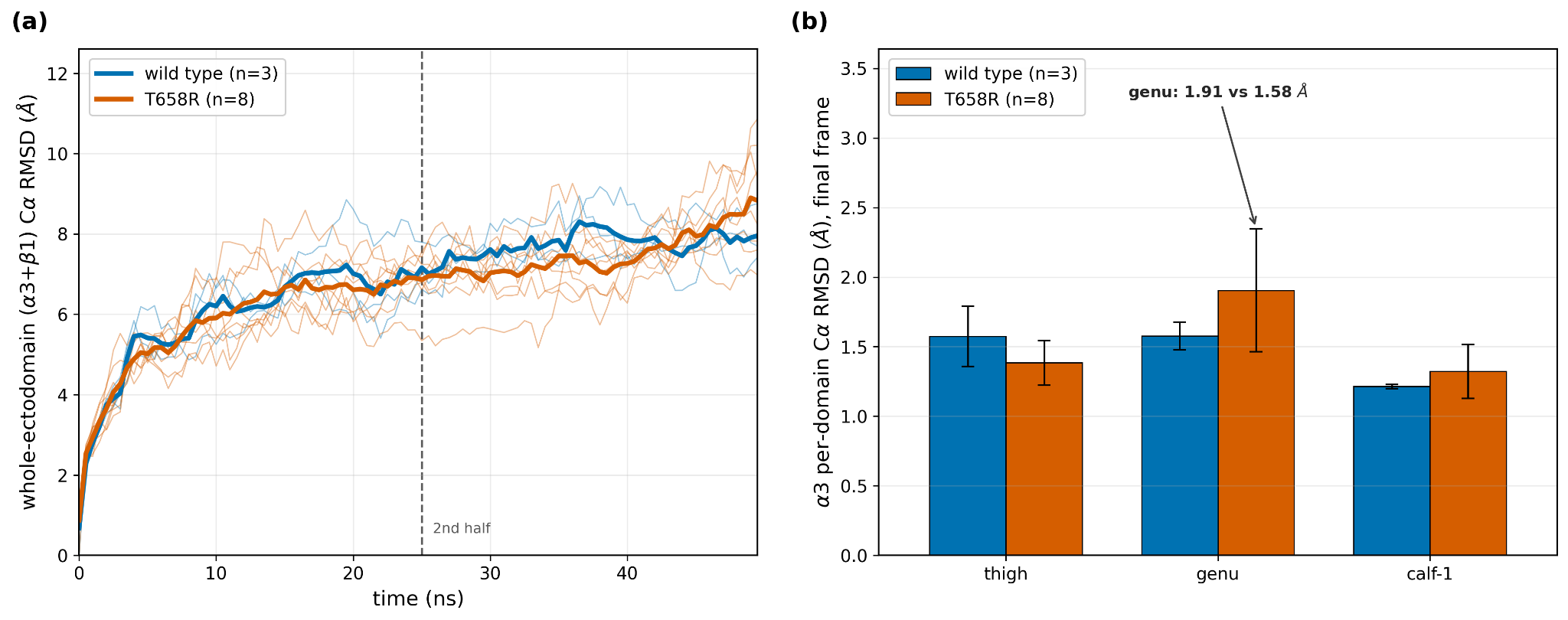 Receptor stability and domain rigidity. (a) Whole-ectodomain (α3+β1) Cα RMSD versus time, per replica (thin) and per-condition mean (bold); the dashed line marks the start of the second-half (25 ns) s