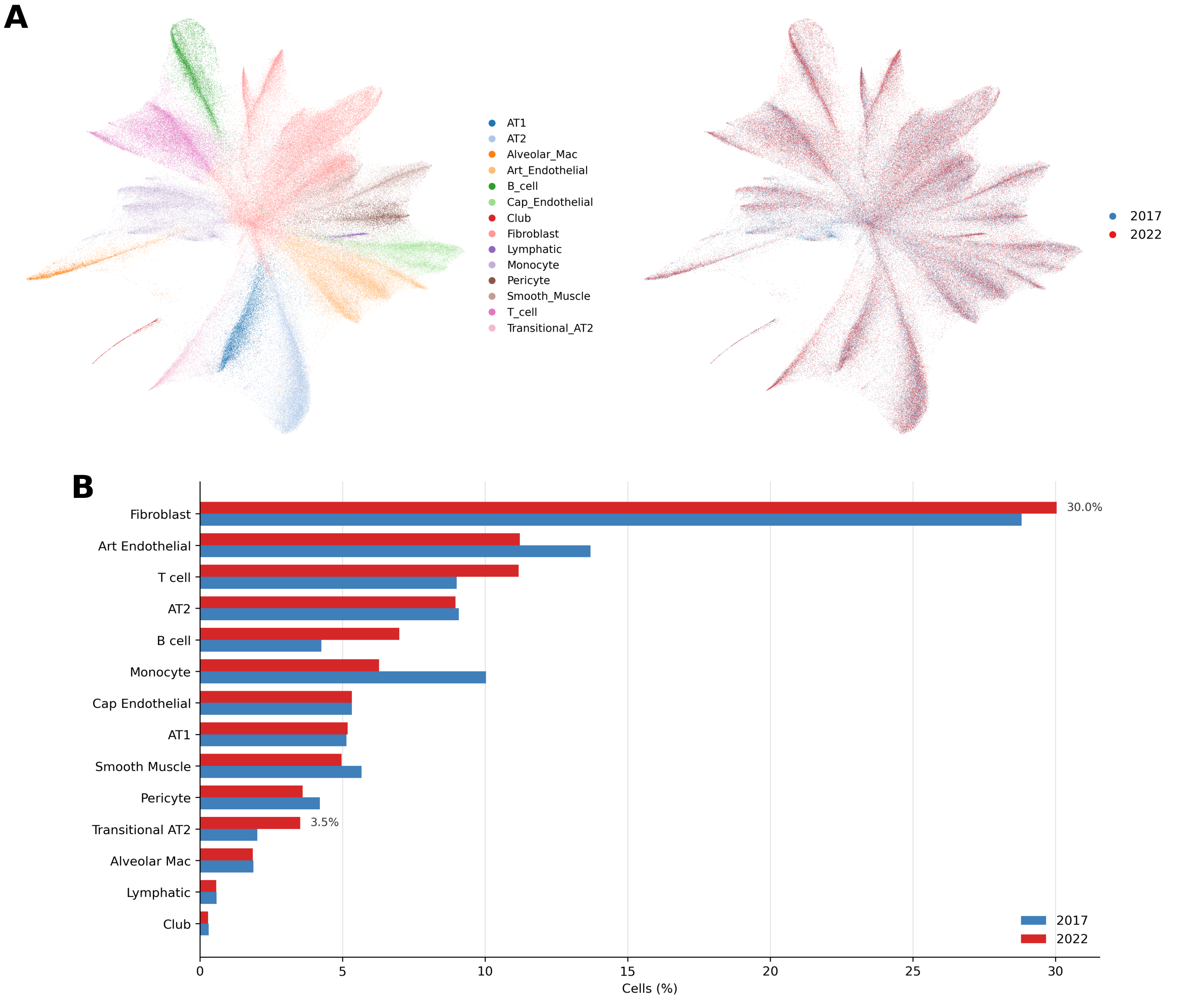 Spatial profiling captures progressive longitudinal expansion of transitional AT2 cells. (A) UMAP of Xenium spatial transcriptomics annotations, resolving 14 distinct cell populations across the 2017