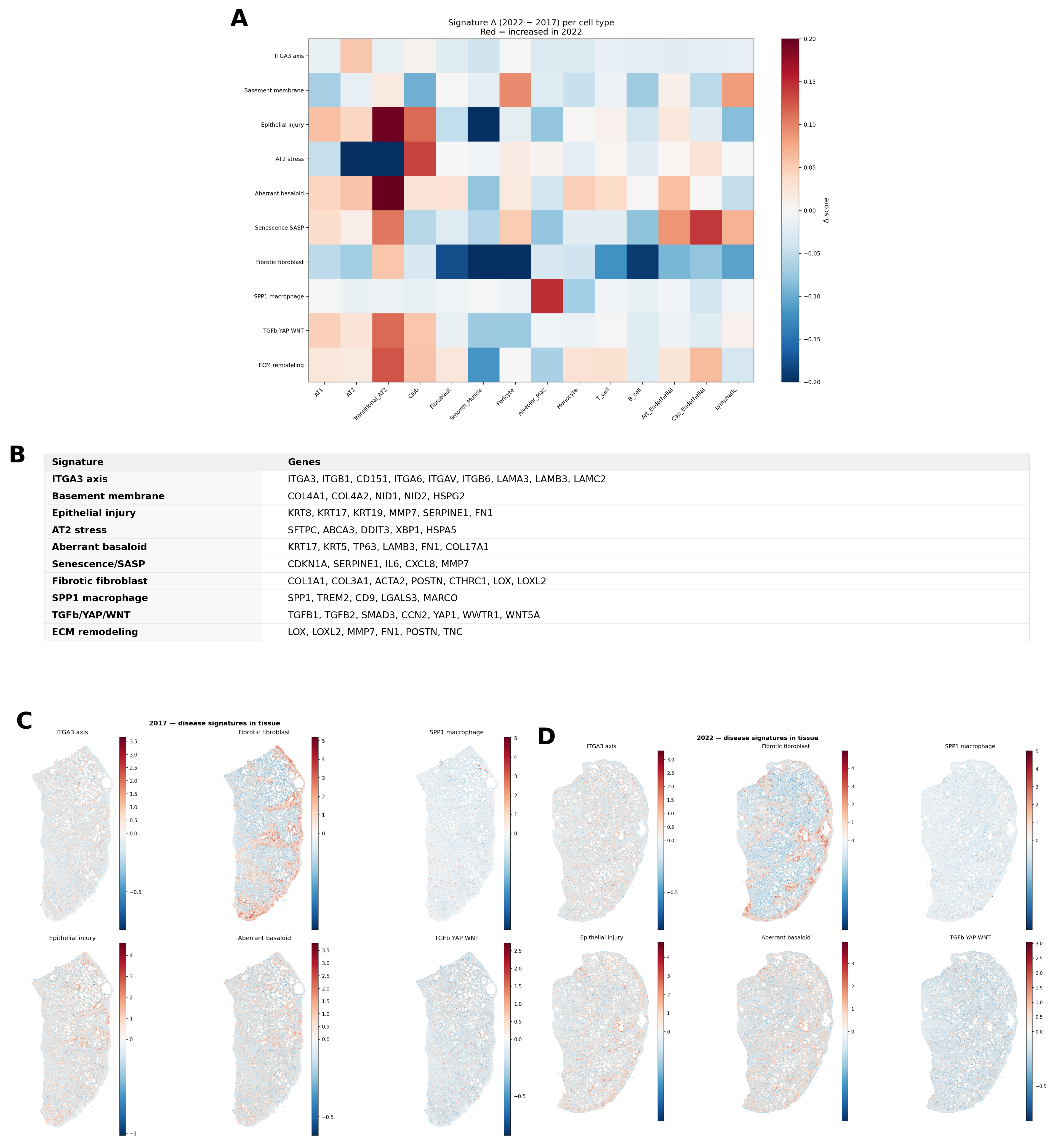 Spatial and longitudinal distribution of specific fibrosis-axis signatures. (A) Heatmap quantifying longitudinal shifts (2017 to 2022) in predefined fibrosis and remodeling module scores across refine